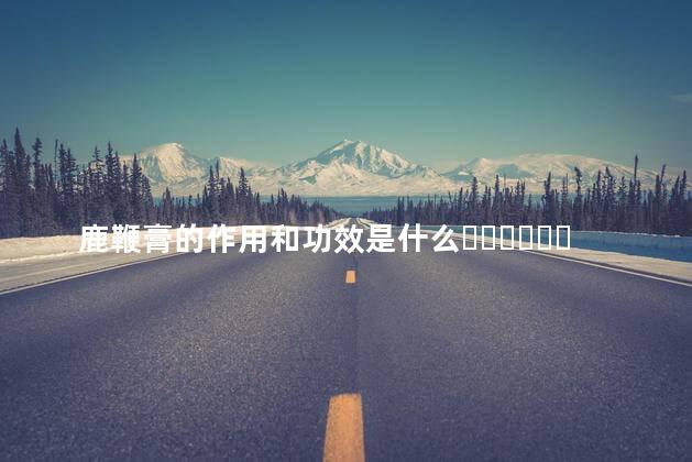 鹿鞭膏的作用和功效是什么？